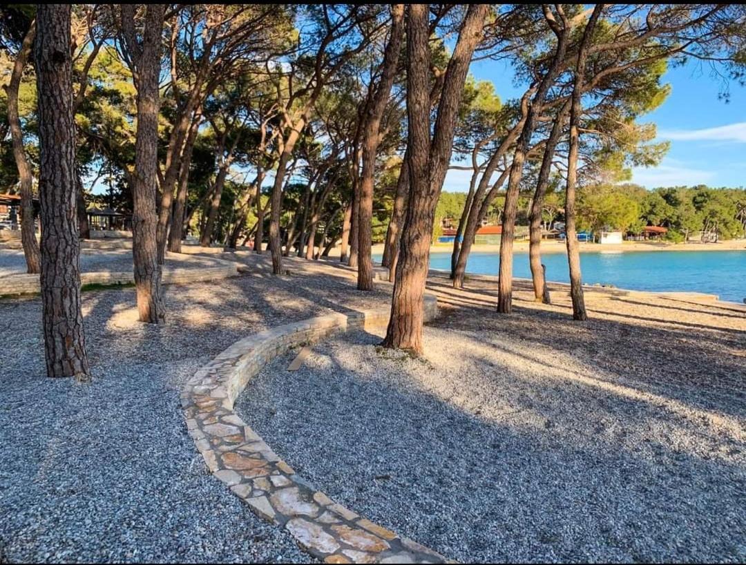 View Biograd *