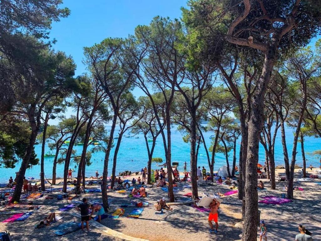 Appartamento View Biograd *