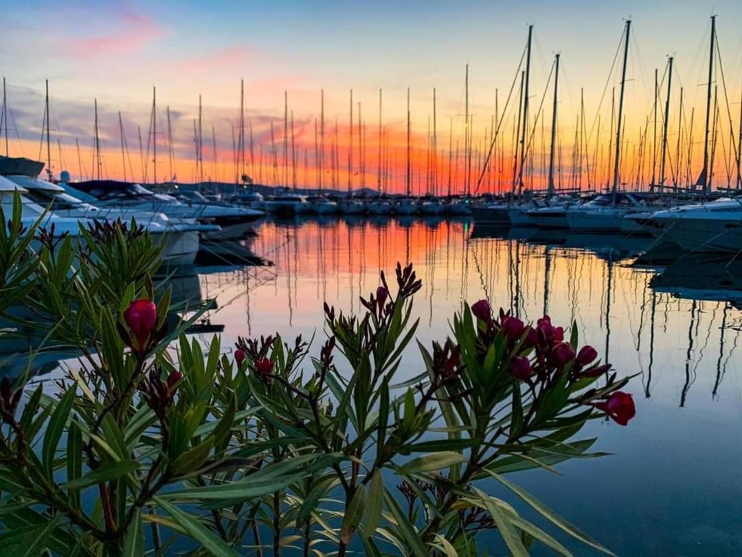 View Biograd *